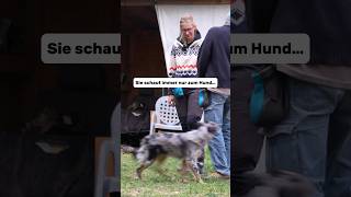 Sie schaut immer nur zum Hund… hundetraining hundeschule [upl. by Neiman591]