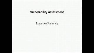 Vulnerability Assessment  Executive Summary Report Template [upl. by Trini5]