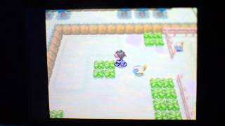 How to Find Rustling Grass on quotPokemonquot  Pokemon Video Games Tutorials [upl. by Saum]