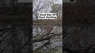 duckhunting waterfowler waterfowl duckseason woodducks hunt duckblind beardsandbowsoutdoors [upl. by Parsons]