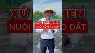 XỬ LÝ NƯỚC PHÈN DỄ DÀNG  Trần Quang Huy Official [upl. by Ahseral992]