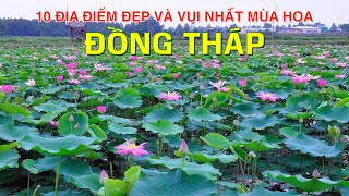 DU LỊCH và KHÁM PHÁ ĐỒNG THÁP đến 10 Địa Điểm Vui và Đẹp Nhất Mùa Hoa Đồng Tháp Top 10 in Dong Thap [upl. by Frymire]