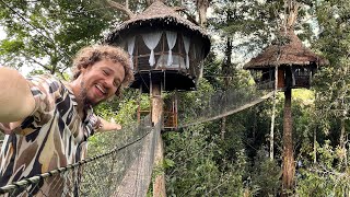 Este hotel está construido sobre ÁRBOLES  Tree Lodge Amazonas [upl. by Yeoz543]