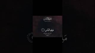 Surah Nas 🕋Surah an Nas  Quran surahnas sborts quranbeautifulrecitation [upl. by Aleyam]