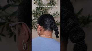 Bubble Pony Hairstyle on Natural Hair Low Maintenance Easy amp Quick Hair Tutorial  Fabulous Faith [upl. by Lesab]