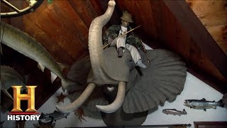 Best of American Pickers The Elephant Head in the Room Season 14 Episode 6  History [upl. by Notneuq]