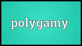 Polygamy Meaning [upl. by Louella]