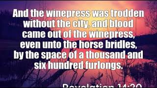 Revelation 1420 And the winepress was trodden without the city an [upl. by Idnir]