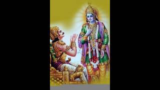 mahabharatbhagavadgitavasudevkrishnastatusbhaktihindutrendingshorts krishna facts [upl. by Idou159]