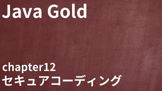 【Java Gold chapter12 セキュアコーディング】資格対策まとめ [upl. by Arraic259]