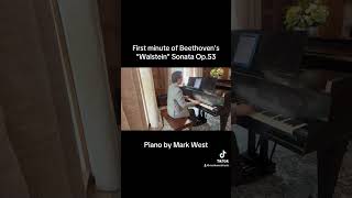 “Waldstein” SonataBeethoven 1st minute by Mark West piano beethoven trending trendingshorts [upl. by Ovatsug]