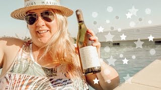 UNE PISCINE ENTRE LES VIGNES  VLOG  FRANCE DANS LES VIGNES [upl. by Idahs478]