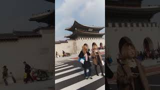 Sophia Dance  Seoul South Korea travel [upl. by Crescin]