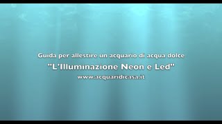 LIlluminazione Neon e Led Guida per allestire un acquario di acqua dolce [upl. by Rehptosirhc128]