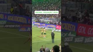 GOL DE FALTA  RAPHAEL VEIGA  contra o Criciúma palmeiras brasileirao [upl. by Acemahs]