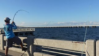 Epic Gag grouper Fishing on the Skyway Pier [upl. by Oby]