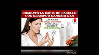 shampoo ganozhi Dxn conoce sus beneficios 🚿🍄 [upl. by Jowett]