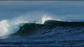 WavePark Resort Mentawai Diary July  September 2016 [upl. by Allayne]