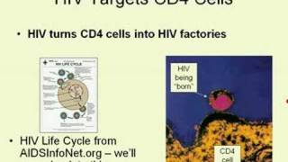 CD4 and Viral Load Tests Part 2 [upl. by Giamo]