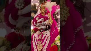 Jis ki Kalai tham li usko kesa dar 🙏🌹🌹🌹🥰🥰shyam bhajankhatushyam bhakti song [upl. by Rochette]