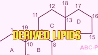 Derived Lipids Biochemistry [upl. by Vergos]