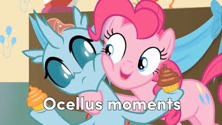 Ocellus moments [upl. by Anirehc]