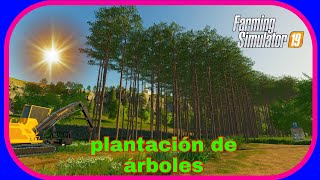 🌳Fs19  mapa Ravenport🌳 plantación de árboles de pino🌳 episodio 1 [upl. by Ricketts]