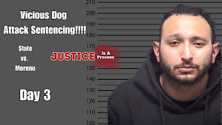 LIVE COURT WATCH Vicious Dog Attack Sentencing Hearing  Day 3 [upl. by Teddy]