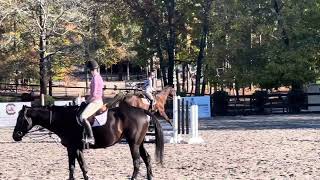 University of South Carolina Equestrian Camp Day 1 on “Major” jumping [upl. by Chet529]