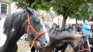 Paardenmarkt Voorschoten 28 juli 2015 www leidseglibber nl [upl. by Trinia]