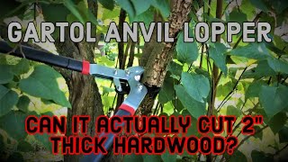 GARTOL Anvil Lopper  Unboxing Test and Review [upl. by Lindley801]