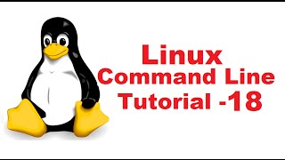 Linux Command Line Tutorial For Beginners 18  directory permissions and chmod [upl. by Akierdna38]