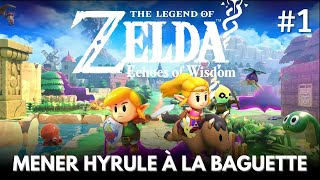 DÉCOUVERTE Zelda mène Hyrule à la baguette [upl. by Ecaroh]