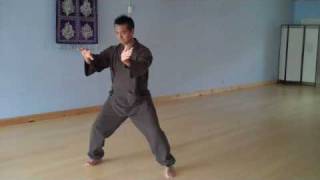 Tai Chi  Chen Style 19 Step Short Form [upl. by Frye]