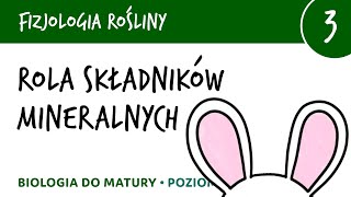 Rola składników mineralnych sole mineralne  znaczenie  Fizjologia roślin 3  matura z biologii [upl. by Akenit]