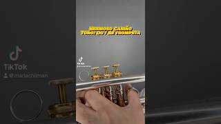 Hermoso Cariño trompeta trumpet music tutorial [upl. by Santa469]