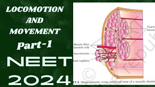 Locomotion and Movement class 11  NCERT Part1  All line of NCERT covered in Hindi language [upl. by Eade117]