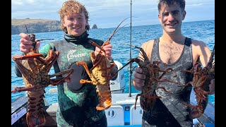 Crayfish and Paua Freediving  Banks Peninsula [upl. by Andrien]