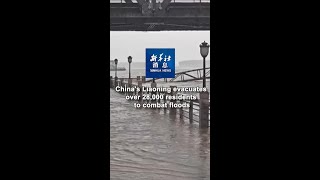 Xinhua News  Chinas Liaoning evacuates over 28000 residents to combat floods [upl. by Etteroma297]