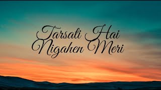 Tarasti hain nigaahein meri Song  Lyrics galat fehmi  Asim Azhar Song [upl. by Idhem]