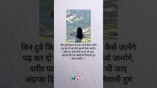 brokenquotes sad galibkealfaz lovemusic shayari galibshayarii lovesongs sadst jindgisayari [upl. by Artemisia]