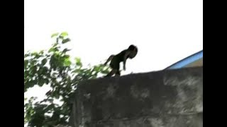 Duende captado en video 2017 Real   strange Goblin creature caught on tape [upl. by Ruamaj]