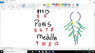 CNS Strokes Made Easy The basics [upl. by Jorin498]