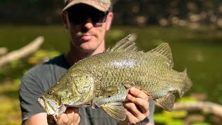 Fishing Creeks amp Billabongs For Land Based Barra [upl. by Enale]