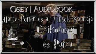 Harry Potter és a Titkok Kamrája hangoskönyv  4 fejezet [upl. by Ecar]