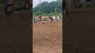 Shinj Mela damowal hoshiarpur phelwan dangal shinj chinj fight [upl. by Vedi714]