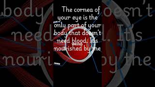 quotEyeOpening Fact The Cornea Doesn’t Need Blood 👁️🌬️quot [upl. by Irual252]