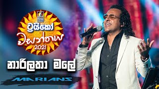 Narilatha Male  නාරිලතා මලේ   Trico වසන්තය with MARIANS [upl. by Belldas]