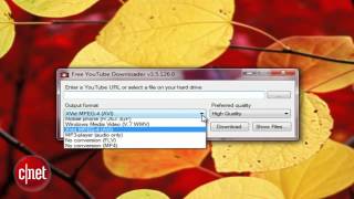 First Look Free YouTube Downloader [upl. by Ahsikel]