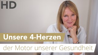 Unsere 4 Herzen der Motor unserer Gesundheit [upl. by Ocirne]